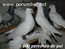Vind
